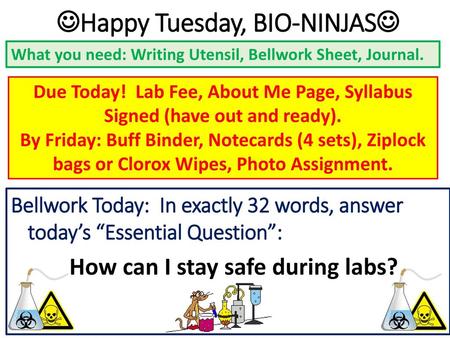 Happy Tuesday, BIO-NINJAS How can I stay safe during labs?