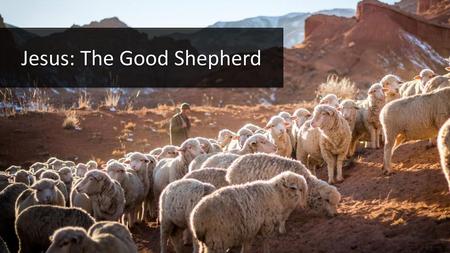 Jesus: The Good Shepherd