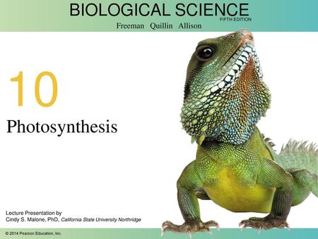 10 Photosynthesis Lecture Presentation by Cindy S. Malone, PhD, California State University Northridge.