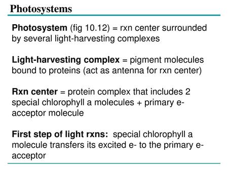 Photosystems Photosystem (fig 10.12) = rxn center surrounded by several light-harvesting complexes Light-harvesting complex = pigment molecules bound to.