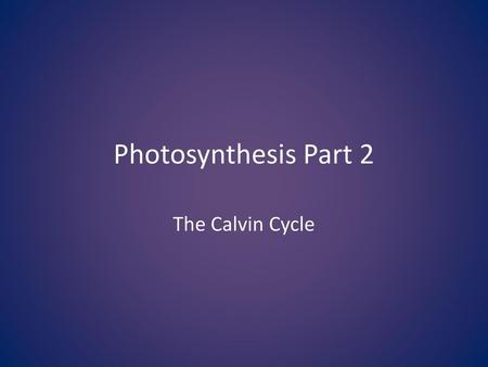 Photosynthesis Part 2 The Calvin Cycle.