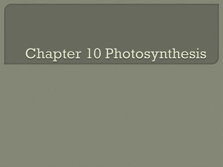 Chapter 10 Photosynthesis