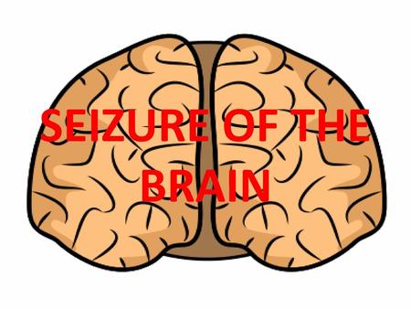 SEIZURE OF THE BRAIN.