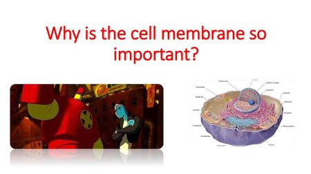 Why is the cell membrane so important?