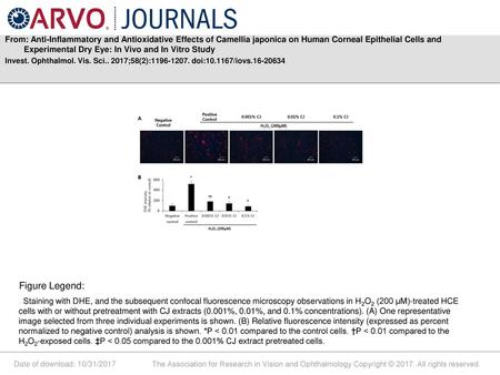 From: Anti-Inflammatory and Antioxidative Effects of Camellia japonica on Human Corneal Epithelial Cells and Experimental Dry Eye: In Vivo and In Vitro.