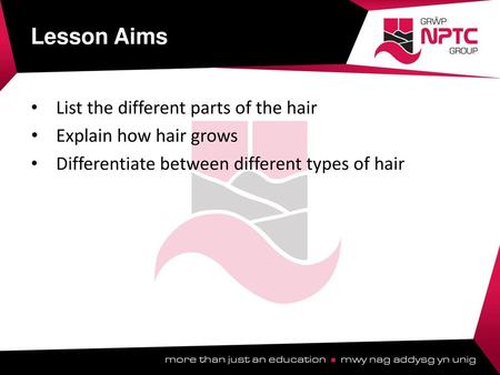 Lesson Aims List the different parts of the hair