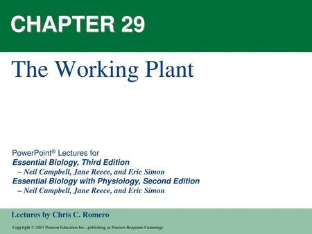 CHAPTER 29 The Working Plant.