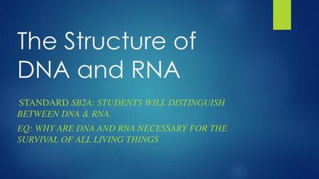 The Structure of DNA and RNA