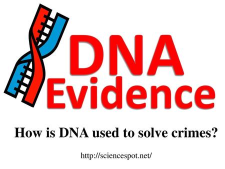 How is DNA used to solve crimes?