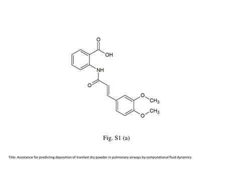 Fig. S1 (a) Title: Assistance for predicting deposition of tranilast dry powder in pulmonary airways by computational fluid dynamics.