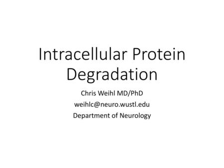 Intracellular Protein Degradation