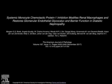 Systemic Monocyte Chemotactic Protein-1 Inhibition Modifies Renal Macrophages and Restores Glomerular Endothelial Glycocalyx and Barrier Function in Diabetic.