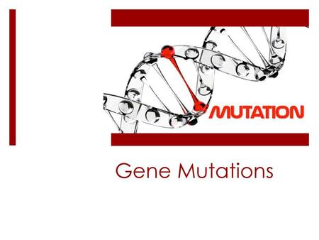 Gene Mutations.