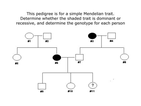 This pedigree is for a simple Mendelian trait