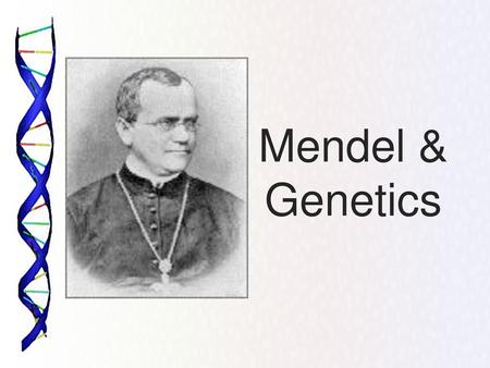 Mendel & Genetics.