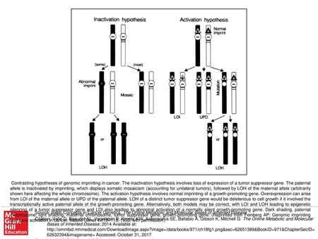 Contrasting hypotheses of genomic imprinting in cancer