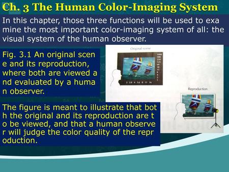 Ch. 3 The Human Color-Imaging System