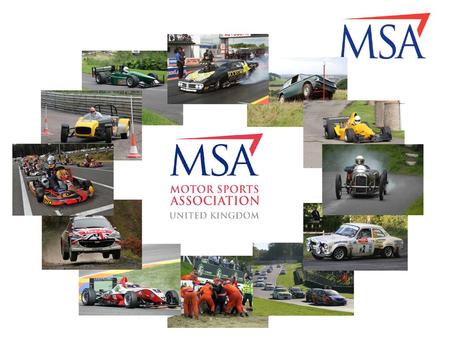 MSA logo pantone colours: