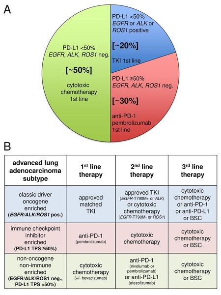 advanced lung adenocarcinoma subtype