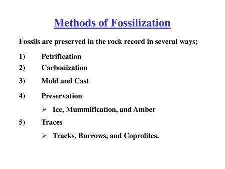 Methods of Fossilization