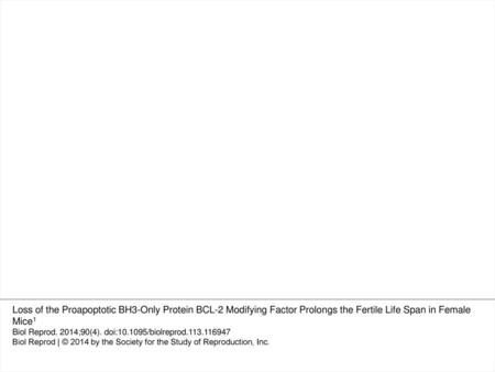 Fig. 2 Proportion of primordial and growing follicles in Bmf−/− and WT ovaries. The percentages of total follicles in either the primordial.