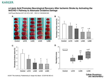 Α-Lipoic Acid Promotes Neurological Recovery After Ischemic Stroke by Activating the Nrf2/HO-1 Pathway to Attenuate Oxidative Damage Cell Physiol Biochem.