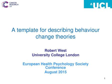 A template for describing behaviour change theories