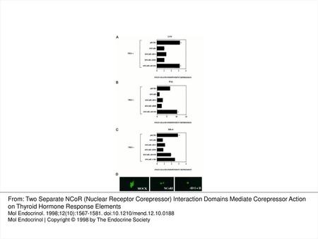 Figure 5. Both IDs Are Capable of Functionally Interacting with the TR on Positive TREs CV-1 cells were cotransfected with 1.7 μg of LYS (A) PAL (B), or.