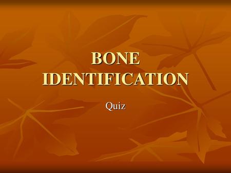 BONE IDENTIFICATION Quiz.