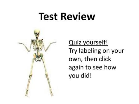 Test Review Quiz yourself!