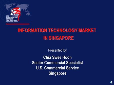 INFORMATION TECHNOLOGY MARKET