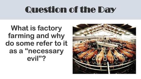 Question of the Day What is factory farming and why do some refer to it as a “necessary evil”?