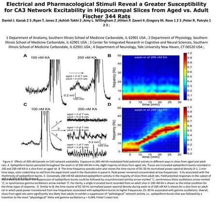 Electrical and Pharmacological Stimuli Reveal a Greater Susceptibility for CA3 Network Excitability in Hippocampal Slices from Aged vs. Adult Fischer 344.