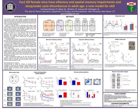 Fus1 KO female mice have olfactory and spatial memory impairments and