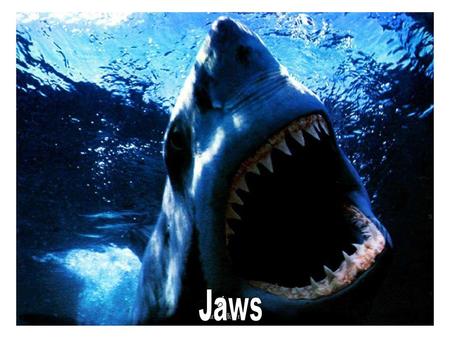 Jaws.