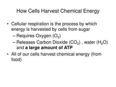 How Cells Harvest Chemical Energy