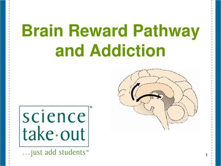 Brain Reward Pathway and Addiction