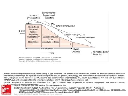 (Source: Adapted from Atkinson MA, Eisenbarth GS