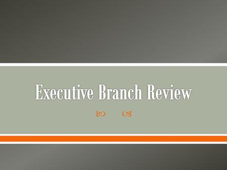 Executive Branch Review