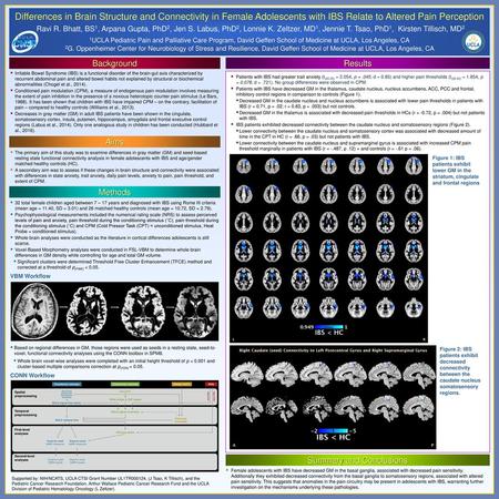 Summary and Conclusions