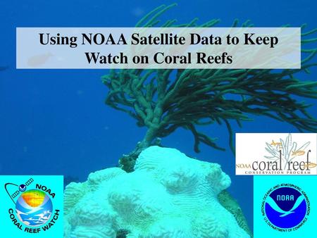 Using NOAA Satellite Data to Keep Watch on Coral Reefs