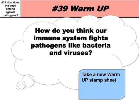 #39 Warm UP How do you think our immune system fights pathogens like bacteria and viruses? SWBAT explain how the immune system attacks and protects against.