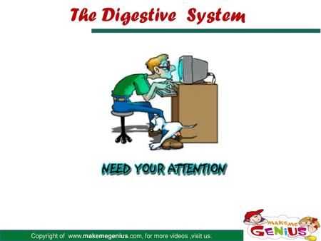 The Digestive System.