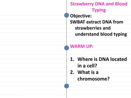 Strawberry DNA and Blood Typing