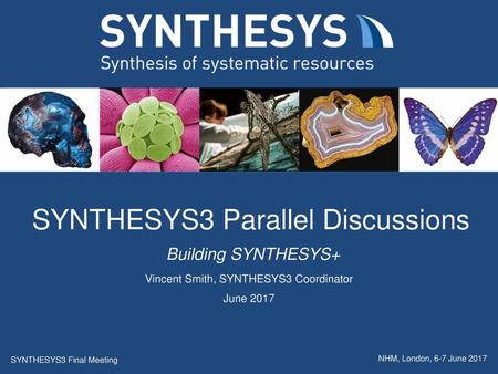 SYNTHESYS3 Parallel Discussions