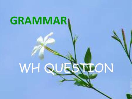 GRAMMAR WH QUESTION.