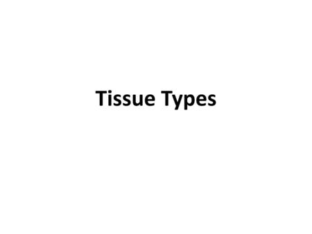 Tissue Types.