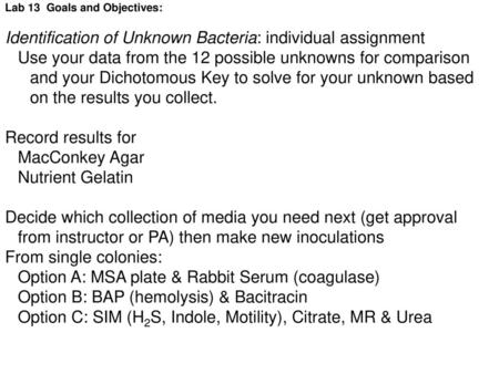 Identification of Unknown Bacteria: individual assignment