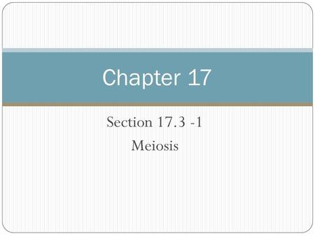 Chapter 17 Section 17.3 -1 Meiosis.