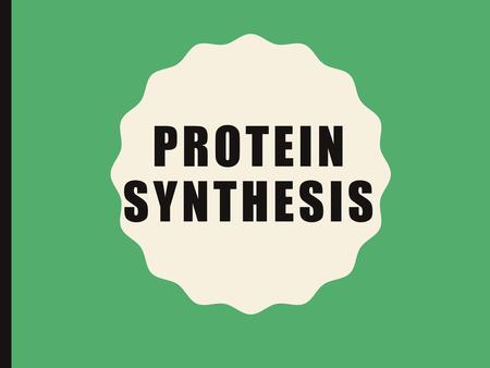 Protein synthesis.